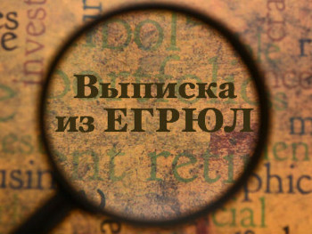 Выписка из ЕГРЮЛ, ЕГРИП
